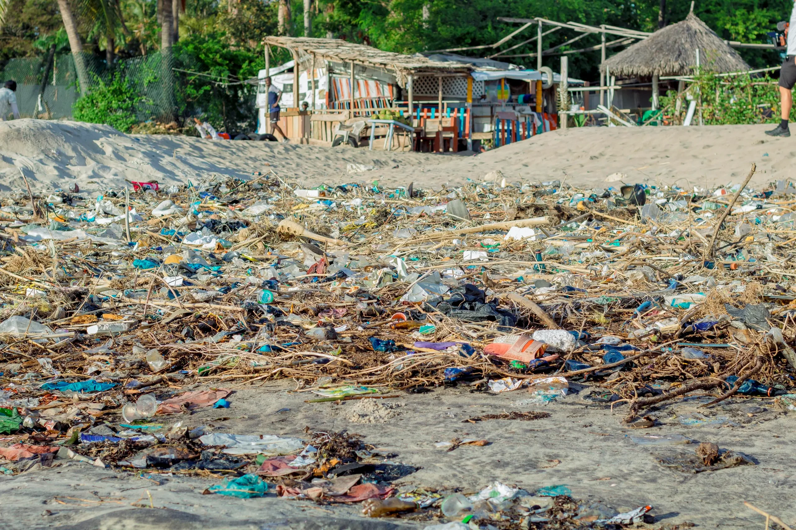 Plastic wastes on shoreline