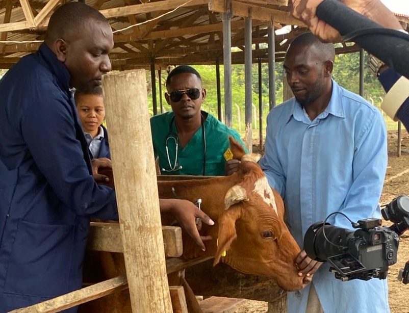 From Farm to Phone: The Tanzanian Startup Revolutionizing Animal Health