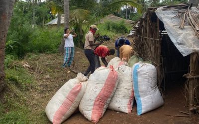 Saving Forests, Creating Jobs: How Kapok Collective Is Transforming Lindi’s Kapok Trees